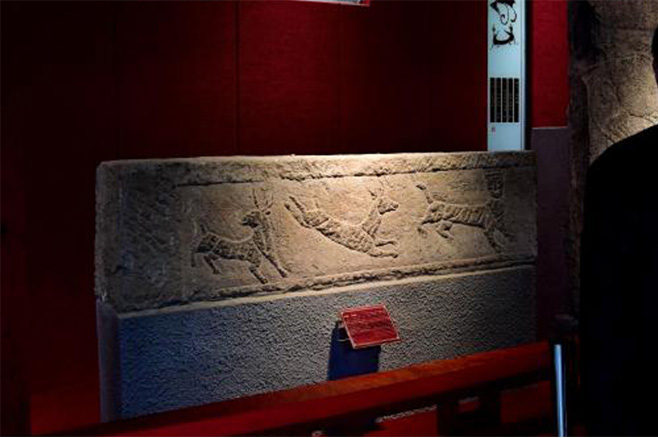 6新聞-02張仲景大藥房項(xiàng)目考察_03-10